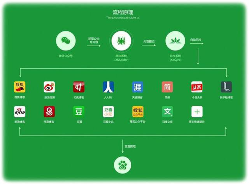 品牌策划:企业成长的催化剂